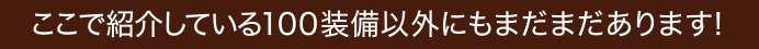 ここで紹介している100装備以外にもまだまだあります!