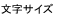 文字サイズ